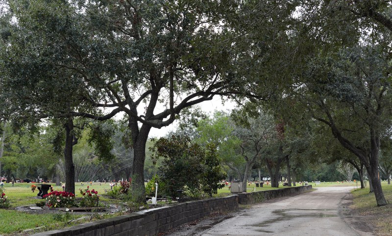 Houston Visit Family - 2024-OCT-NOV-Houston_Visit_0151